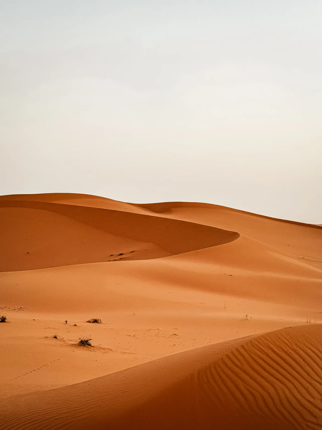 Light and shadow across desert dunes