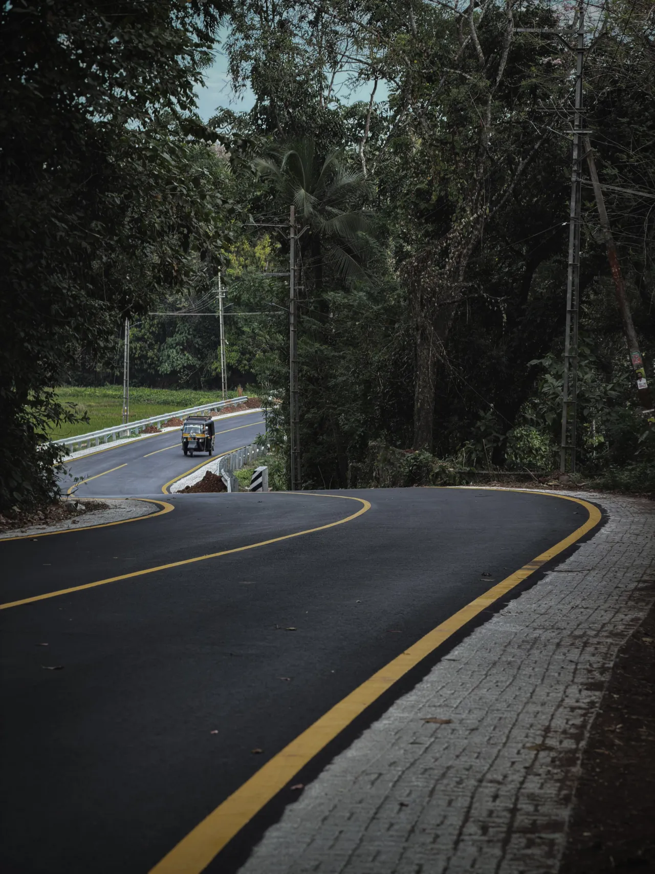 A road winding through trees